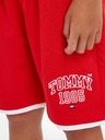 Tommy Hilfiger Tommy Varsity Kids Shorts